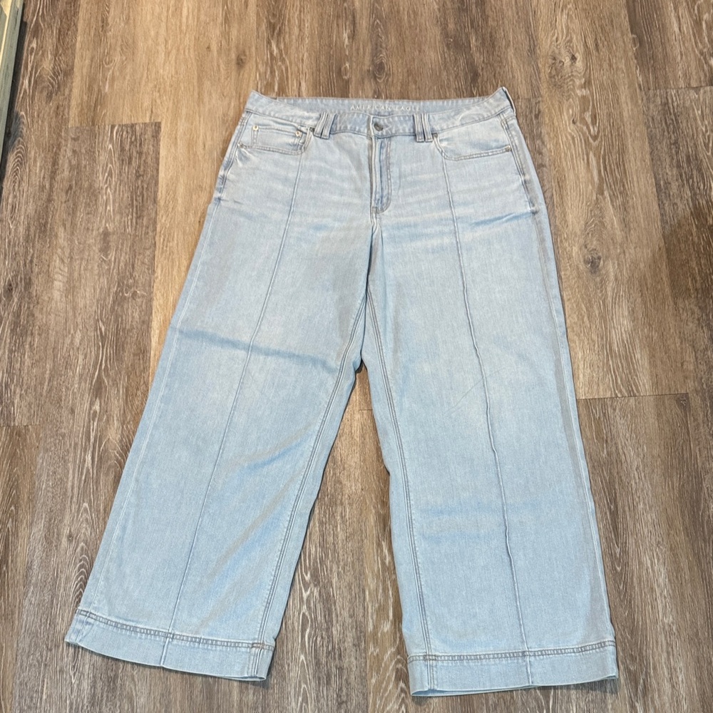 American Eagle Low Rise Baggy Wide Leg Jeans